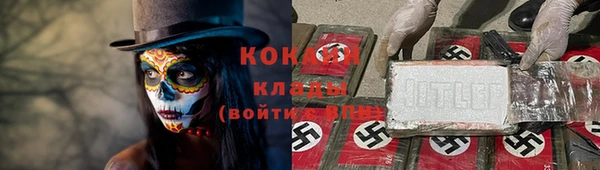 кокс Алексин