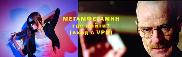 прущие грибы Ростов
