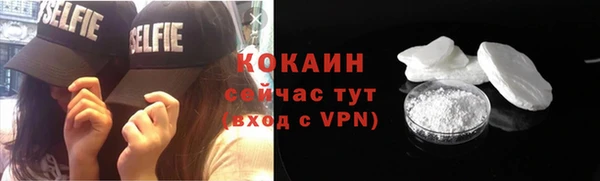 кокс Алексин